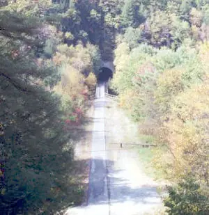 Sandy Creek Trail - tunnel view